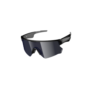 Sunglasses D2